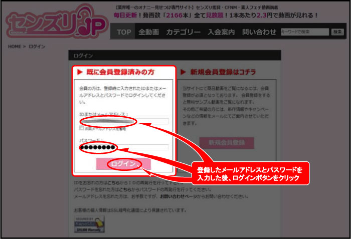 ZY.JP OC