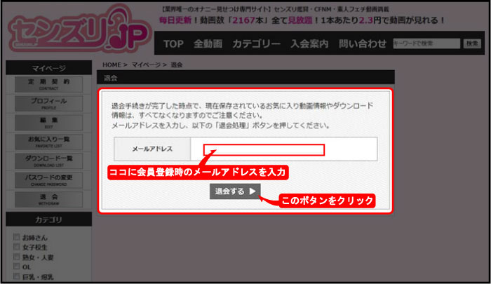 ZY.JP މ@