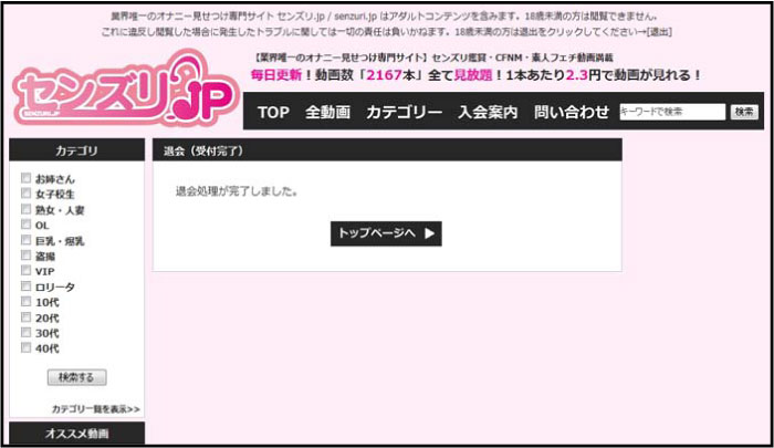ZY.JP މ@